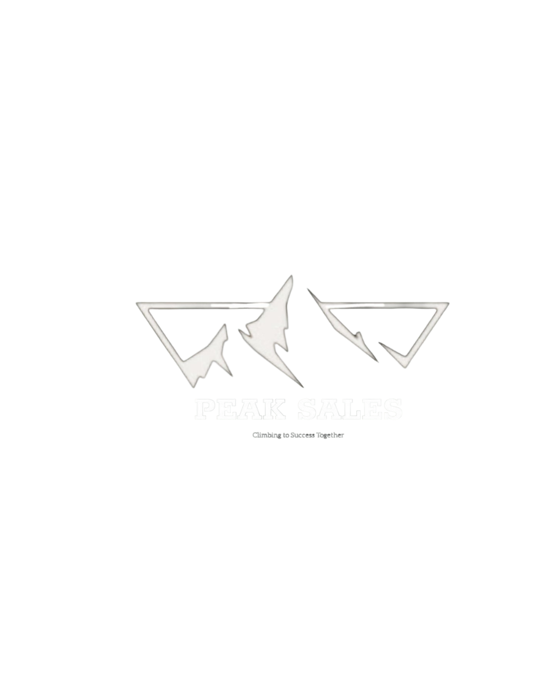 PeakSales Logo